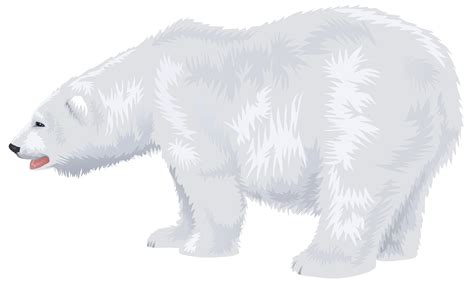 polar bear clipart|free polar bear clip art.